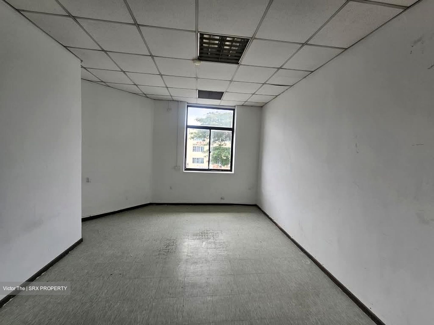 Cpa House (D14), Shop House #526798841